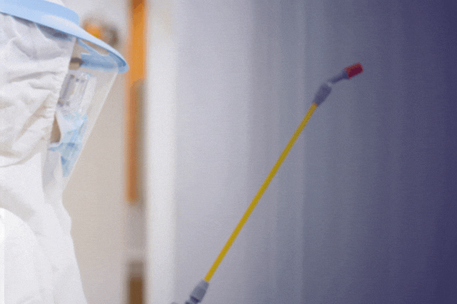 Corona virus survives on surfaces